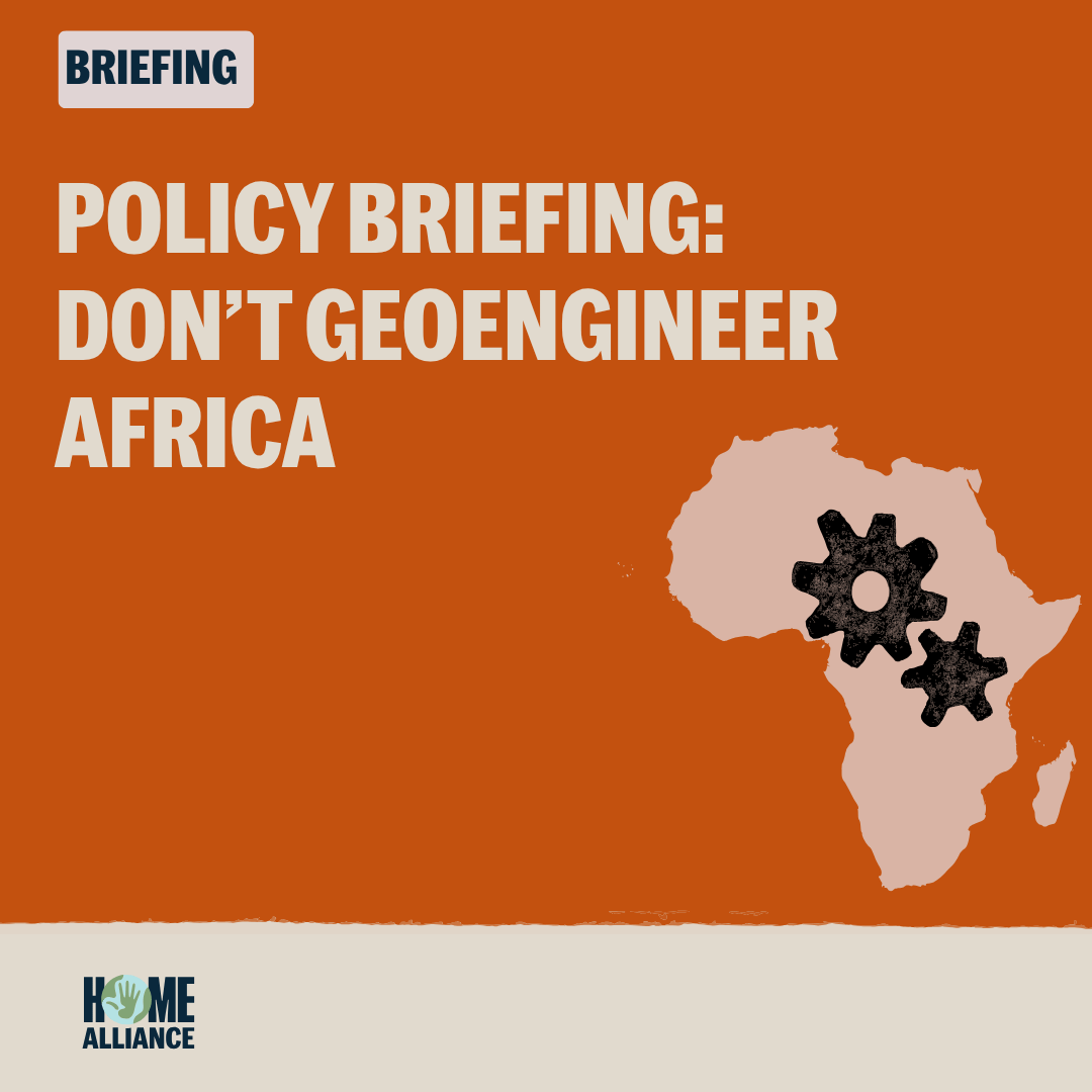 Copy of Copy of Template without grid