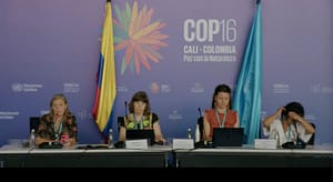 29d8daf0-badd-40ec-ae35-0ed70e0b2c08