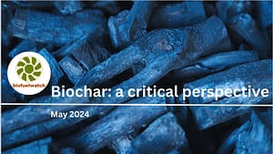 Screenshot 2024-09-26 at 01-30-26 Biochar-briefing-2024.pdf