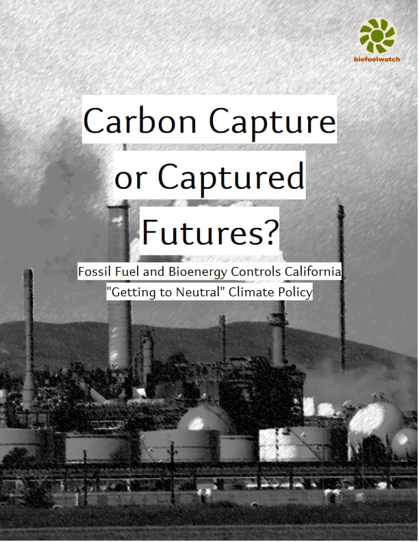 Screenshot 2024-09-19 at 23-56-36 FINAL_capturedfutures_Biofuelwatch.pdf
